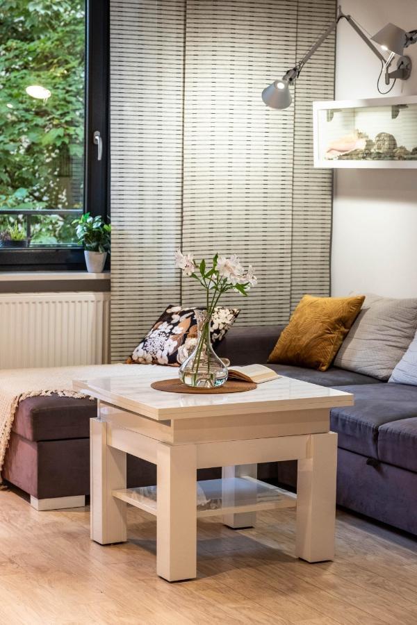Smart Executive Apartament Kraków